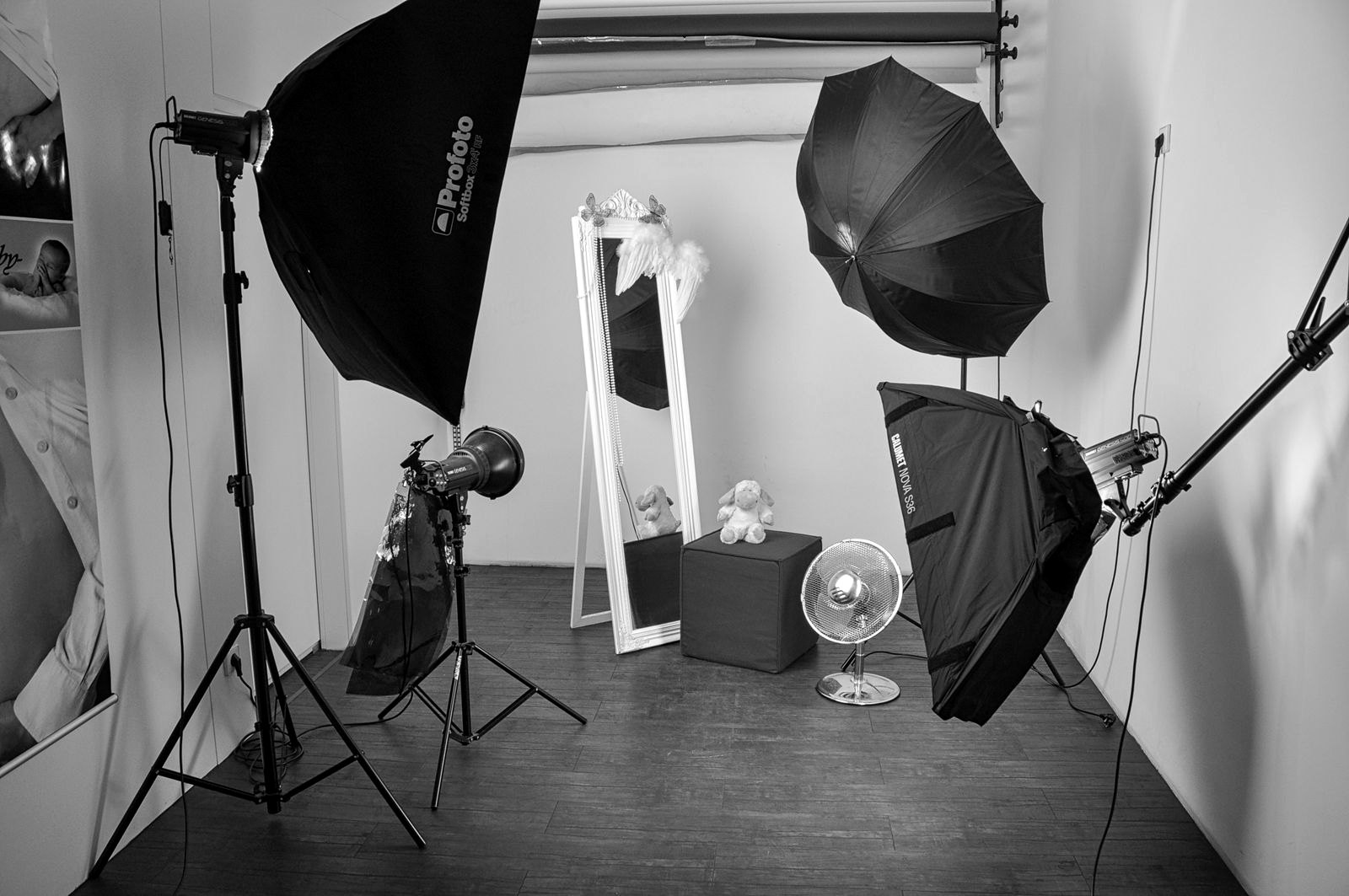 A portrait studio set with softbox lights and a seamless backdrop