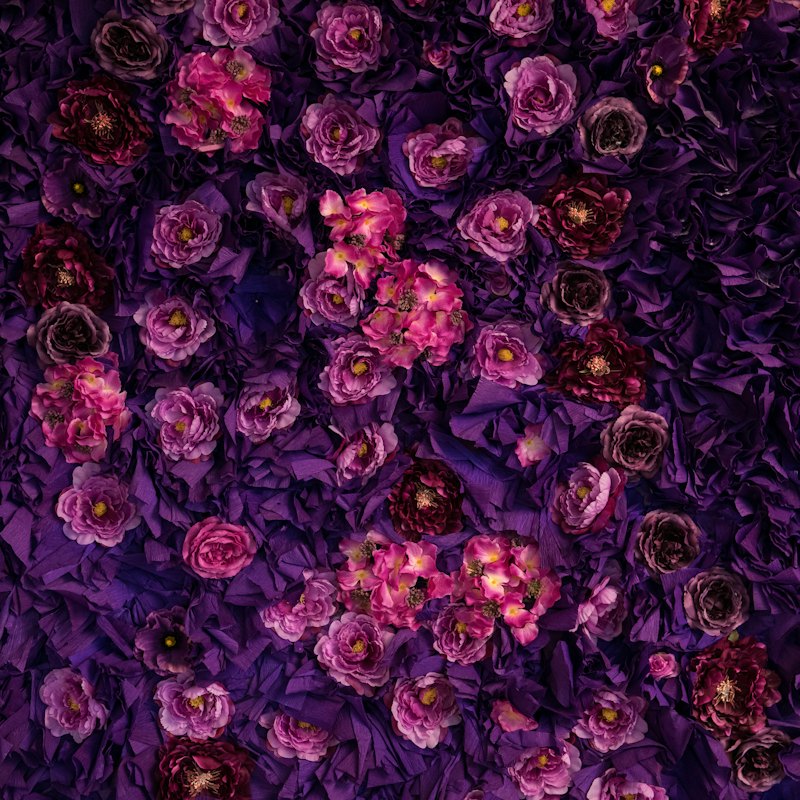 Backdrops rentals