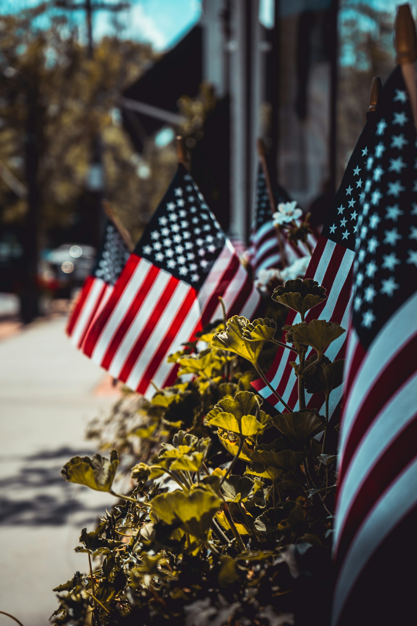 Small American flags in a flower planter