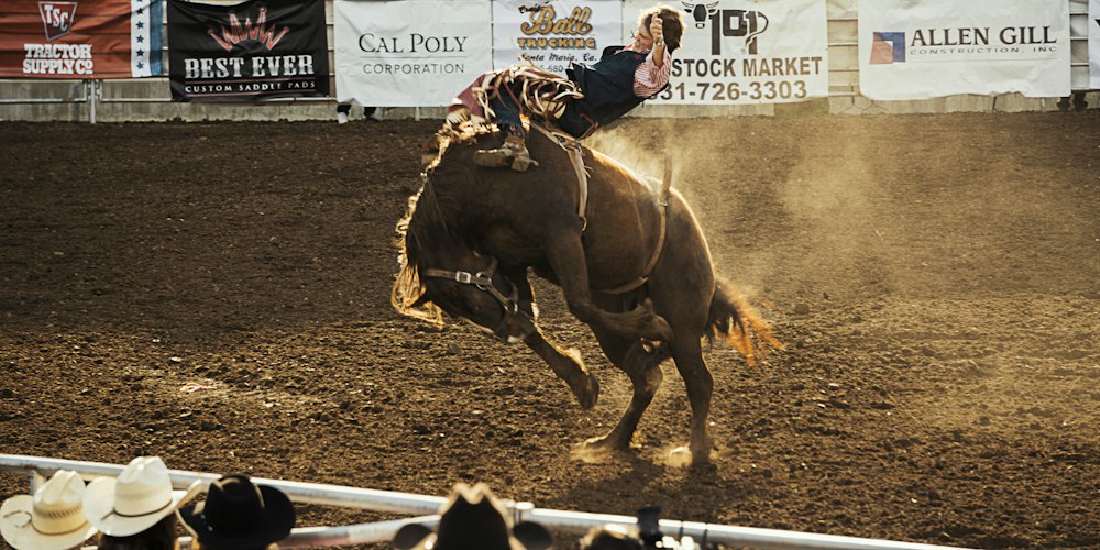 Real rodeo energy