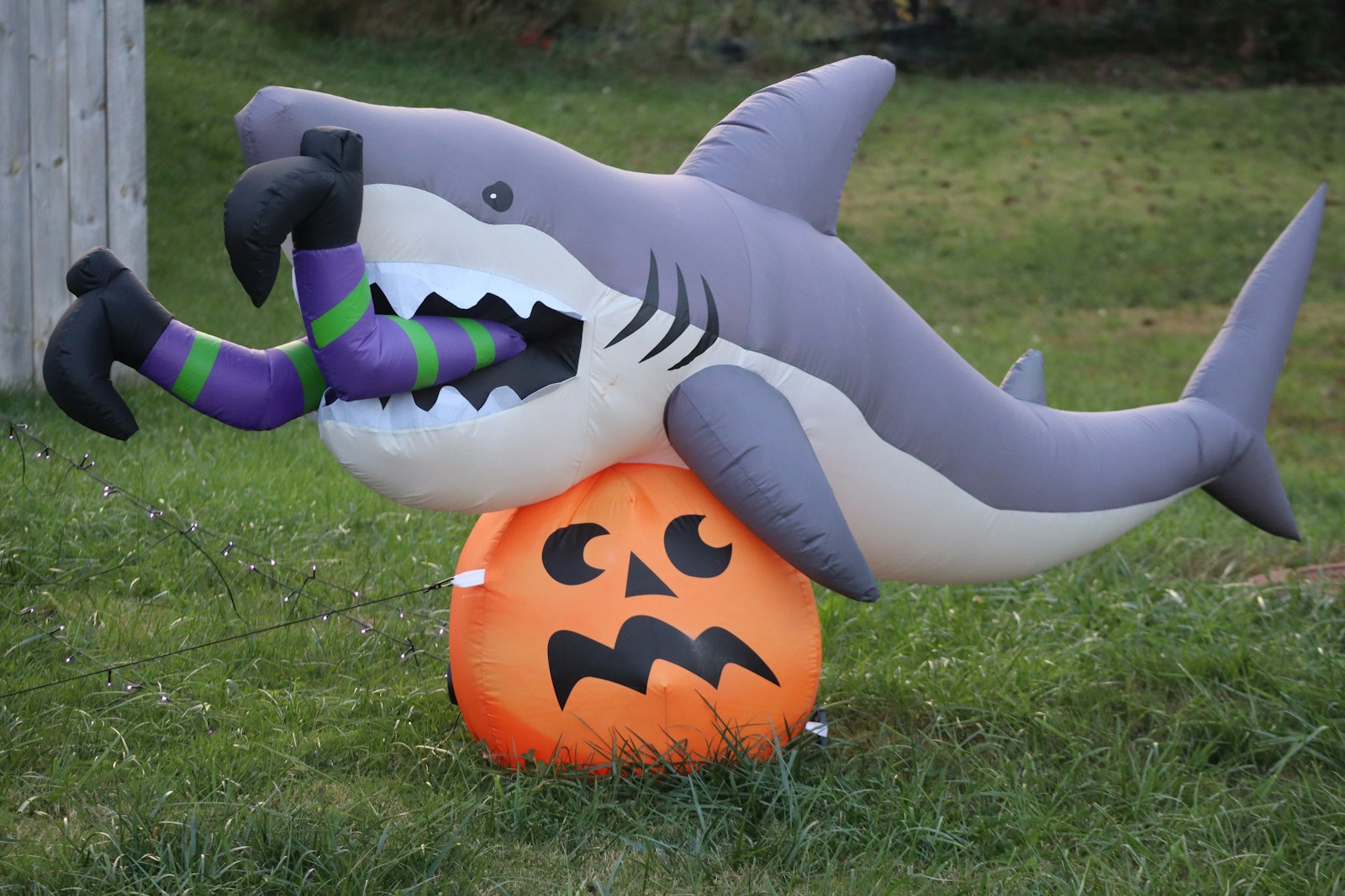 A giant inflatable shark chomping a jack-o’-lantern on a lawn