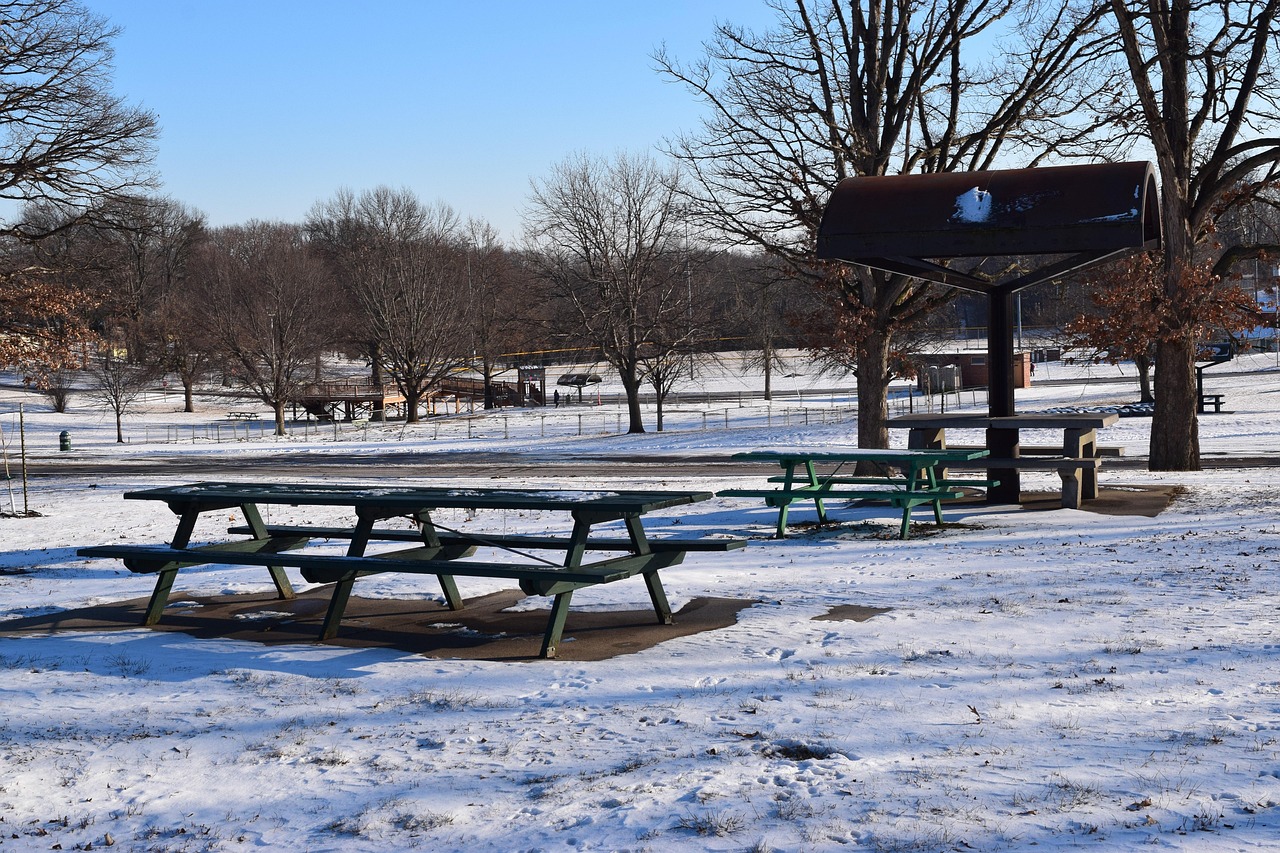 Picnic tables in a sunny park