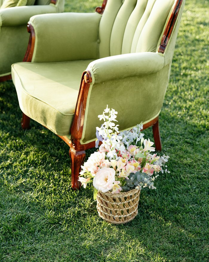 Velvet lounge on the lawn